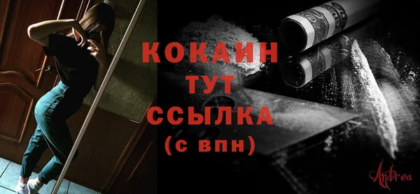 шишки Нефтегорск