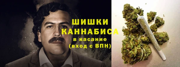 МДПВ Новозыбков