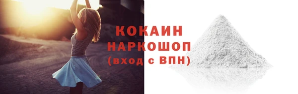 дживик Новодвинск