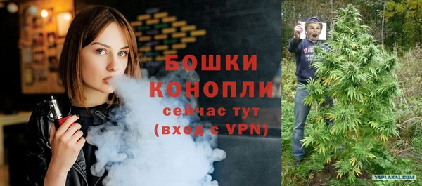 прущие грибы Надым