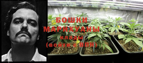 дживик Новодвинск