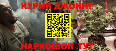 амф Гатчина