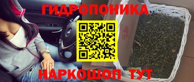 скорость Гусев
