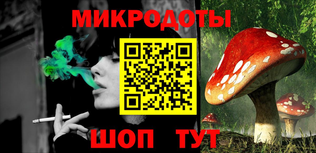 Псилоцибиновые грибы Psilocybe Кимовск
